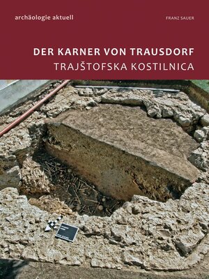 cover image of Archäologie aktuell Band 4